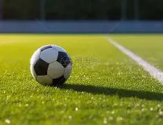 云巅一跃,期双色球彩,界揭秘,中国竞彩网,足彩竞猜,竞彩网,体彩竞猜