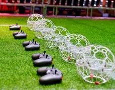 彩界秘籍,期排列,独家解析,中国竞彩网,足彩竞猜,竞彩网,体彩竞猜