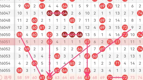 大乐透第2026054期专家推荐，上期8码命中，质合分析详析