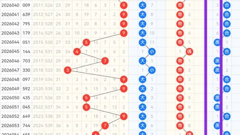 排列三2026058期专家推荐：直选万能大底分析